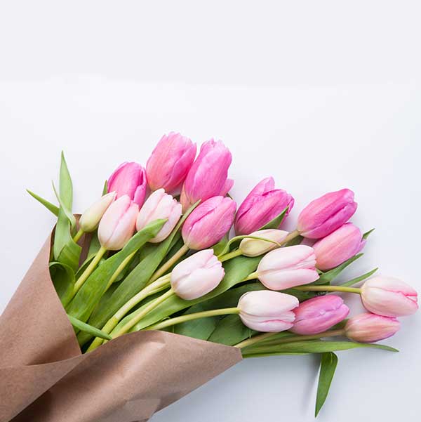 دانلود آهنگ دنبال حقمون تو خیابونا غرق خون محکمه سنگ دستمون 